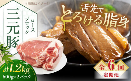【全6回定期便】平田牧場 ロース ブロック 1.2kg (600g×2P) 豚肉 ローストポーク 煮豚 [AJAP100]