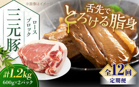【全12回定期便】平田牧場 ロース ブロック 1.2kg (600g×2P)  豚肉 ローストポーク 煮豚 [AJAP101]