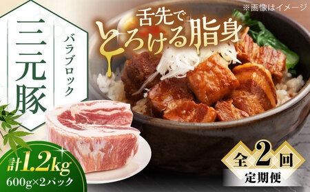 【全2回定期便】平田牧場 バラ ブロック 1.2kg (600g×2P) 豚肉 煮豚 [AJAP106]