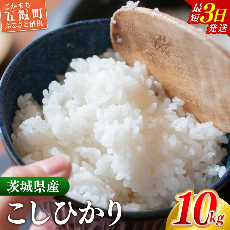 令和7年産 こしひかり 精米 10kg (5kg×2袋)  コシヒカリ 中山産業 【価格変更AB】