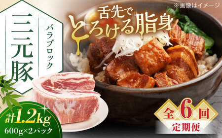 【全6回定期便】平田牧場 バラ ブロック 1.2kg (600g×2P) 豚肉 煮豚 [AJAP108]