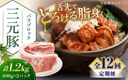 【全12回定期便】平田牧場 バラ ブロック 1.2kg (600g×2P) 豚肉 煮豚 [AJAP109]
