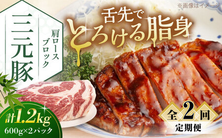 【全2回定期便】平田牧場 肩ロース ブロック 1.2kg (600g×2P) 豚肉 ローストポーク 煮豚 [AJAP114]