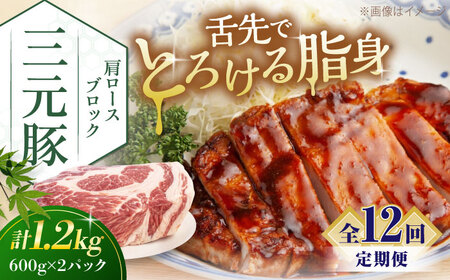 【全12回定期便】平田牧場 肩ロース ブロック 1.2kg (600g×2P) 豚肉 ローストポーク 煮豚 [AJAP117]