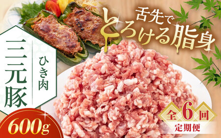 【全6回定期便】平田牧場 ひき肉 600g 豚肉 餃子 つくね [AJAP120]
