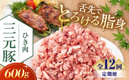 【全12回定期便】平田牧場 ひき肉 600g  豚肉 餃子 つくね [AJAP121]