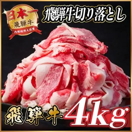 飛騨牛　切り落とし　約4kg(約500g×8)【冷蔵便】A4～A5等級 黒毛和牛 小分け_肉  牛肉 _【配送不可地域：離島】【1531527】