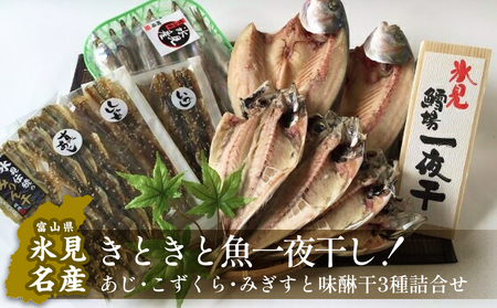 氷見産きときと魚一夜干し！あじ・こずくら・みぎすと味醂干3種詰合せ　| 干物 みりん干し アジ こずくら みぎす 産地直送 干物セット 国産 富山 人気 詰め合わせ 旬 新鮮 おつまみ おかず 簡単調理 焼魚 冷凍 