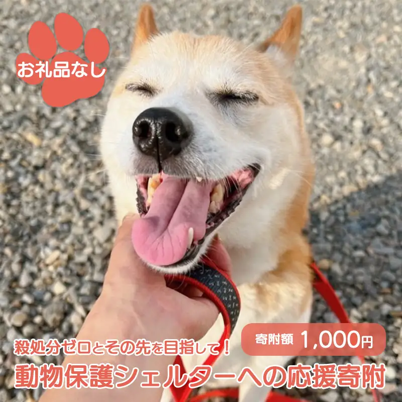 【お礼品なし】殺処分ゼロとその先を目指して！　動物保護シェルターへの応援寄附　1,000円/応援寄付金 返礼品なし お礼の品なし 地元支援 地域支援 ふるさと支援 殺処分 ゼロ 0 感謝 動物愛護 イヌ 犬 ネコ 猫 助ける命 小さな命 保護犬 保護ネコ どうぶつ 環境整備 ボランティア 慈善事業 岩手県 矢巾町