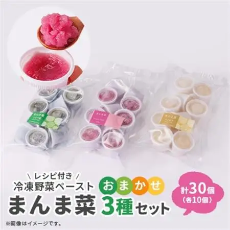 まんま菜　冷凍野菜ペーストおまかせ3種セット【配送不可地域：離島】【1522909】