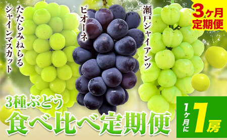 【3回定期便】3種ぶどう食べ比べ  計3房 　ﾏｽｶｯﾄ ﾋﾟｵｰﾈ ぶどう