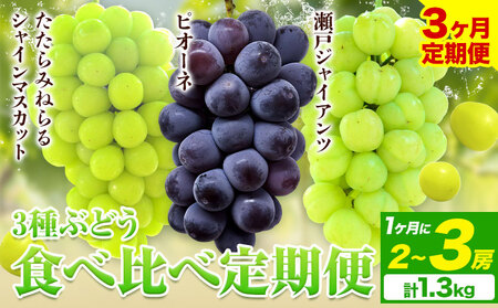 【3回定期便】3種ぶどう食べ比べ定期便 約1.3kg×3回　ﾏｽｶｯﾄ ﾋﾟｵｰﾈ ぶどう