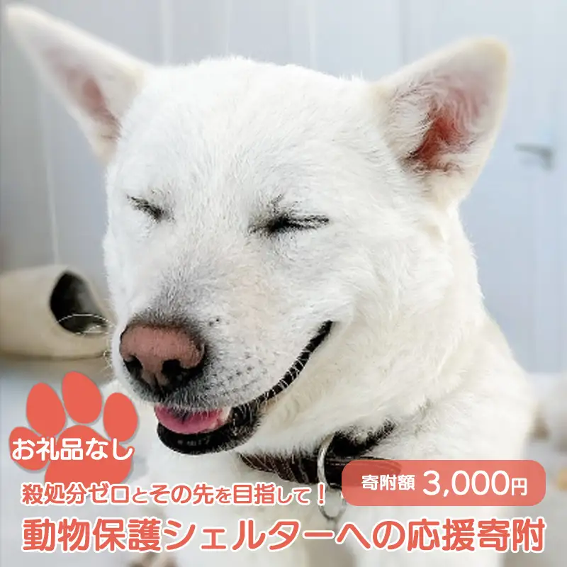 【お礼品なし】殺処分ゼロとその先を目指して！　動物保護シェルターへの応援寄附　3,000円/応援寄付金 返礼品なし お礼の品なし 地元支援 地域支援 ふるさと支援 殺処分 ゼロ 0 感謝 動物愛護 イヌ 犬 ネコ 猫 助ける命 小さな命 保護犬 保護ネコ どうぶつ 環境整備 ボランティア 慈善事業 岩手県 矢巾町