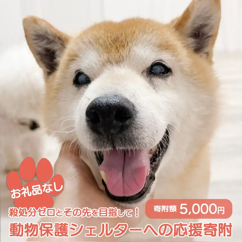 【お礼品なし】殺処分ゼロとその先を目指して！　動物保護シェルターへの応援寄附　5,000円/応援寄付金 返礼品なし お礼の品なし 地元支援 地域支援 ふるさと支援 殺処分 ゼロ 0 感謝 動物愛護 イヌ 犬 ネコ 猫 助ける命 小さな命 保護犬 保護ネコ どうぶつ 環境整備 ボランティア 慈善事業 岩手県 矢巾町