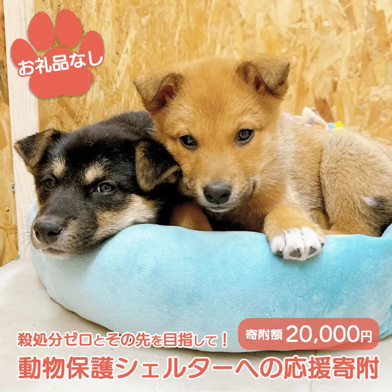 【お礼品なし】殺処分ゼロとその先を目指して！　動物保護シェルターへの応援寄附　20,000円/応援寄付金 返礼品なし お礼の品なし 地元支援 地域支援 ふるさと支援 殺処分 ゼロ 0 感謝 動物愛護 イヌ 犬 ネコ 猫 助ける命 小さな命 保護犬 保護ネコ どうぶつ 環境整備 ボランティア 慈善事業 岩手県 矢巾町