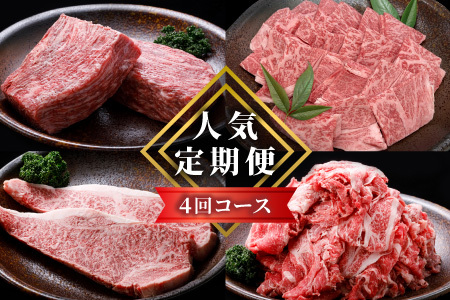 5セット限定！★定期便 全4回★ 長野県根羽村 人気4品！定期便 切り落とし カタロース 焼肉 サーロインステーキ ロースステーキ ステーキ 限定 定期便 人気 4回