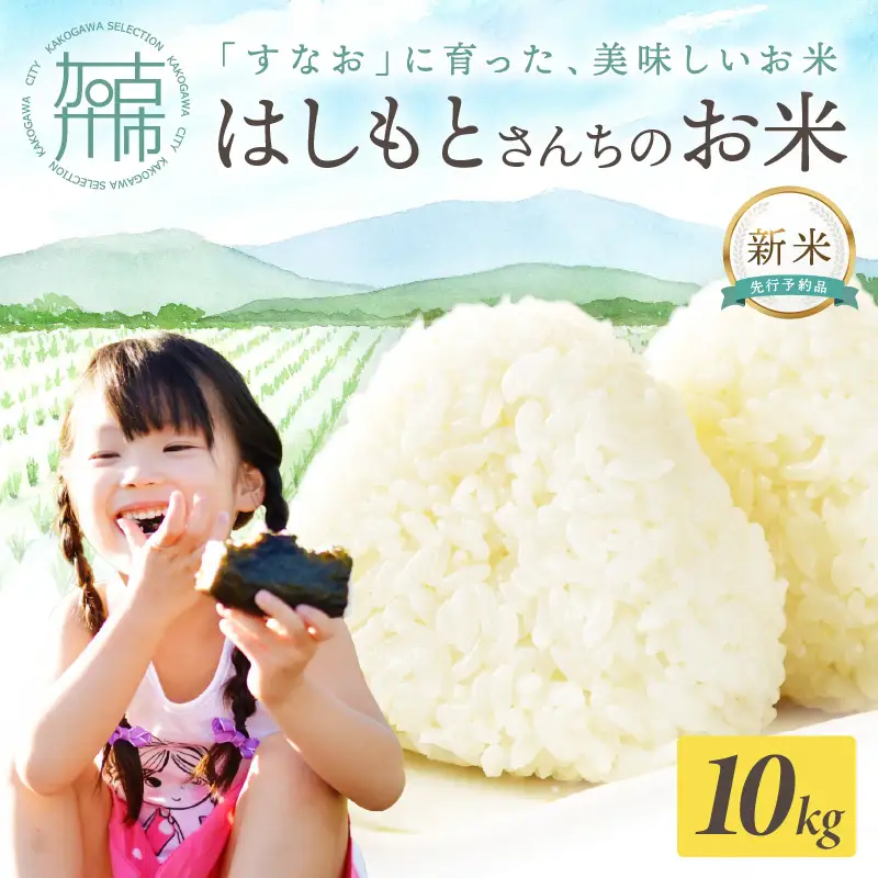 【令和7年産 2025年11月より順次発送】はしもとさんちのお米(10kg)《 お米 米 ヒノヒカリ 精米 お米10kg お米10キロ ごはん ご飯 》【2503B14302】