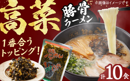高菜生ラーメン10食セット / 豚骨ラーメン スピード配送[AFAE007]