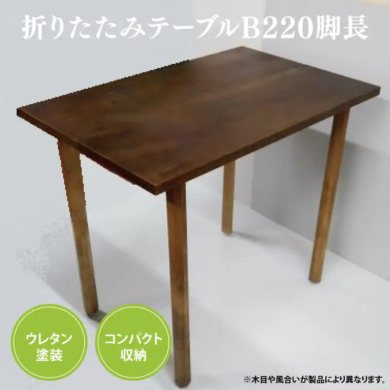 BT011 折りたたみテーブルB220脚長