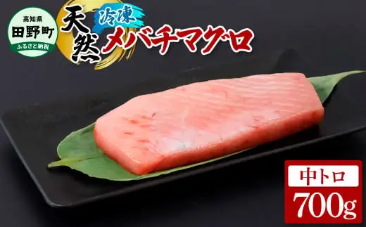 ～四国一小さなまち～ 天然メバチマグロ 中トロ 700g
