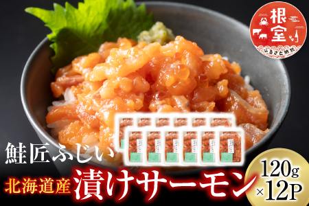 ＜鮭匠ふじい＞漬けサーモン丼の具120g×12P(小分け) F-42008