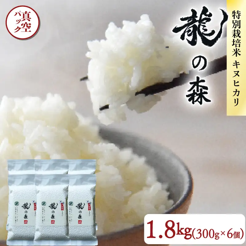 【パックご飯】京都府産キヌヒカリ パックご飯 300g×6個 龍の森