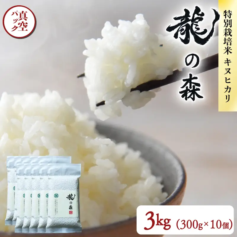 【パックご飯】京都府産キヌヒカリ パックご飯 300g×10個 龍の森