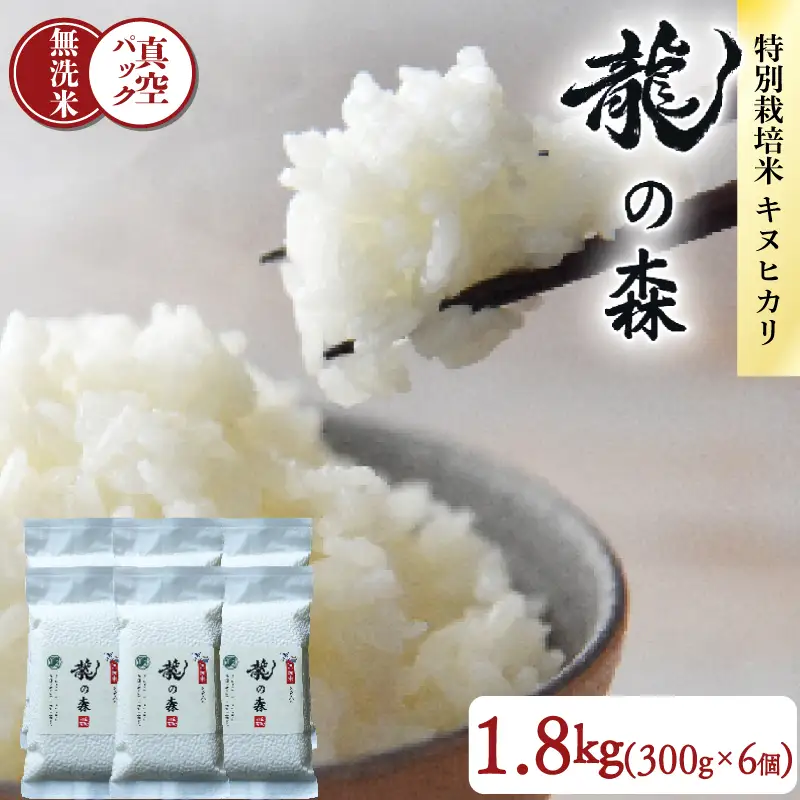 【パックご飯】無洗米 京都府産キヌヒカリ パックご飯 300g×6個 龍の森