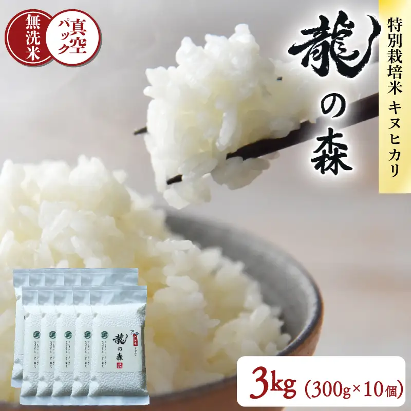【パックご飯】無洗米 京都府産キヌヒカリ パックご飯 300g×10個 龍の森