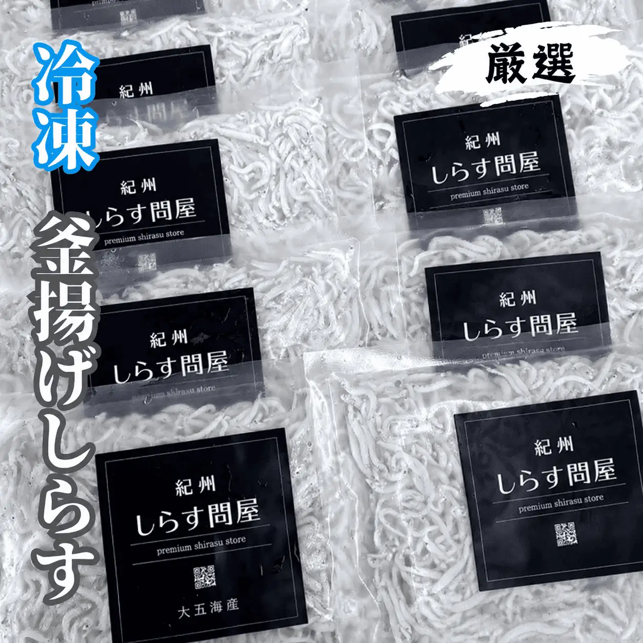 シラス 厳選 小分け 冷凍便 / 冷凍釜揚げしらす500g （100g×5パック）【dig001B】