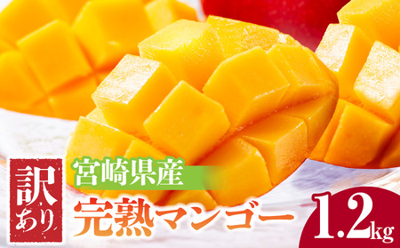 マンゴー 訳あり 宮崎 マンゴー[完熟 1.2kg]