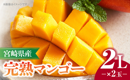《2026年発送先行予約》【数量・期間限定】宮崎県産完熟マンゴー 2L×2玉 果物 完熟マンゴー フルーツ