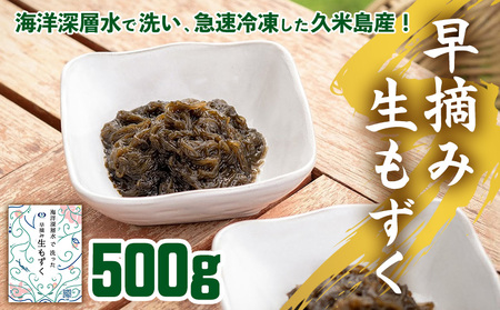 もずく 海洋深層水で洗い急速冷凍した久米島産！早摘み生もずく 500g  モズク 海藻