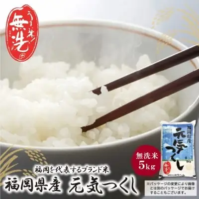 Y17-21 令和7年産 無洗米 元気つくし5kg