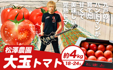 大玉トマト4kg (18-24玉) 松澤農園  岩手県 九戸村 
