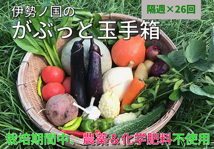 伊勢ノ国のがぶっと野菜玉手箱　：　隔週1回定期便（大人4人1週間分）26回【26-2】