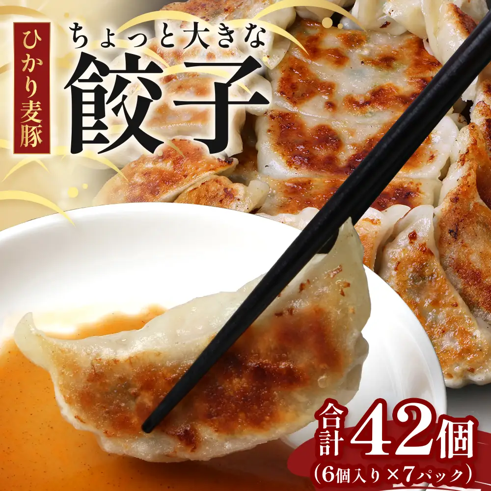 鹿児島県産 ひかり麦豚 ＼＼ちょっと大きな  餃子 42個セット／／ HM-707 | ぎょうざ ギョウザ 食べ応え抜群 焼き餃子 水餃子 おかず お弁当 冷凍 産地直送 鹿児島県 南大隅町 ひかり麦豚直売所