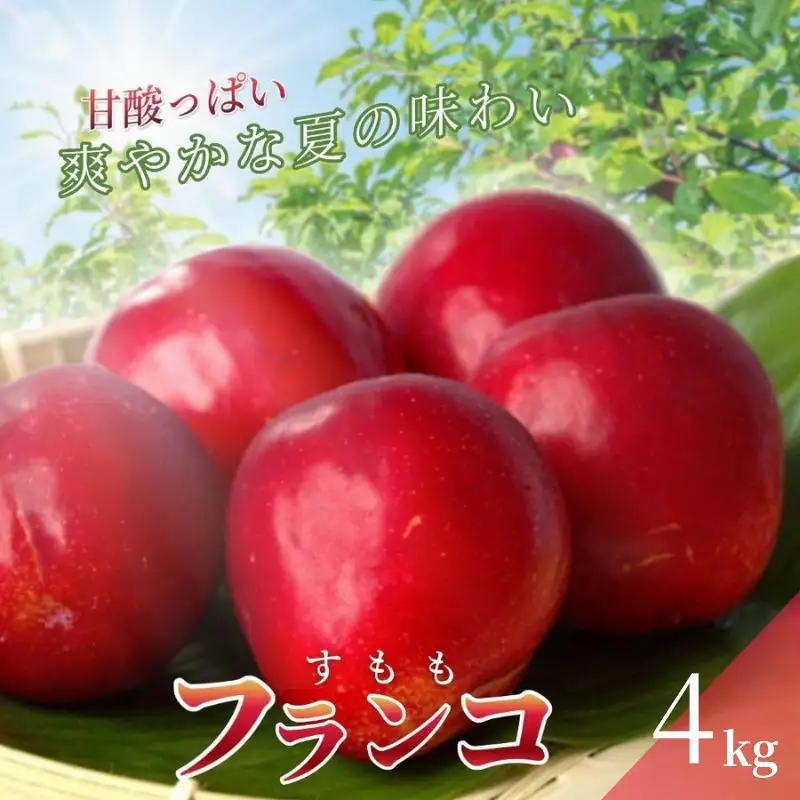 すもも フランコ 4kg 【mtm011】