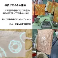 梅枝で染物体験ができるペアチケット /  体験 手作り 染物 リラックス  和歌山 田辺市  チケット ペアチケット ハンドメイド【grt006-1】