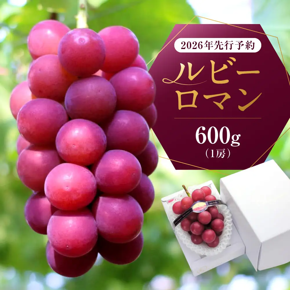 高級ぶどう【2026年 先行予約】ルビーロマン　600g ルビーロマン ルビーロマン ルビーロマン ルビーロマン