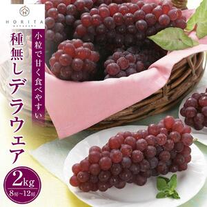 【2026年7月上旬～発送】【先行予約】 種無し デラウエア 2kg（8～12房）