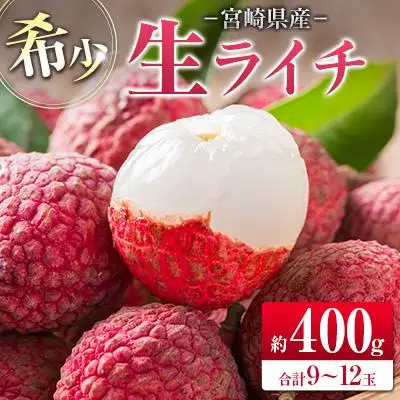 ◆希少！宮崎県産 生ライチ(合計約400g)