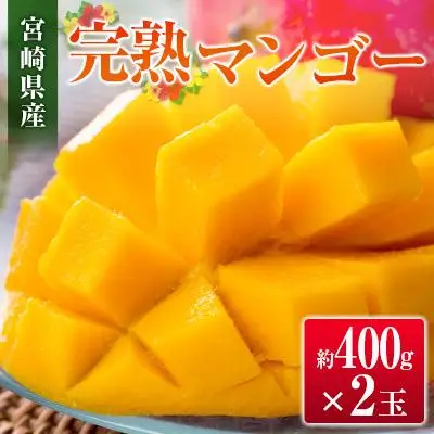 ◇宮崎県産 完熟マンゴー（2玉）