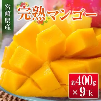 ◆宮崎県産 完熟マンゴー（9玉）