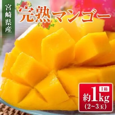 ◆宮崎県産 完熟マンゴー（合計約1kg）