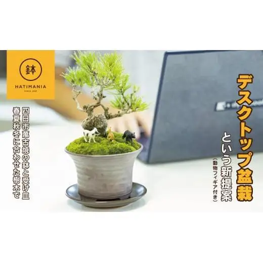 「デスクトップ盆栽」という新提案を四日市から（ミニチュアあり）