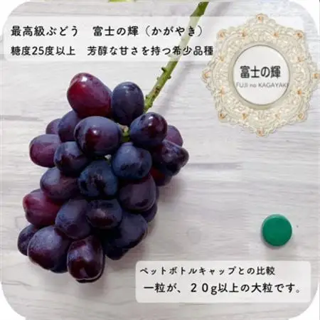 富士の輝　大房800g以上　1房【配送不可地域：離島】【1525932】