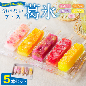 とけないアイス　葛氷5本セット[009B09]葛餅アイス 葛アイスバー 葛フルーツアイス 溶けないアイス 葛スイーツ【贈答・熨斗対応】