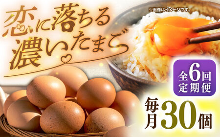 【全6回定期便】【特選卵】素直な恋たまご 30個 [JAP020]