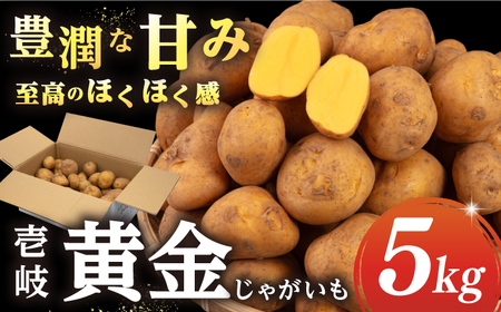 【先行予約】壱岐黄金じゃがいも 5kg【2026年7月中に発送】《壱岐市》【壱岐市農業協同組合】[JBO139] じゃがいも 旬野菜